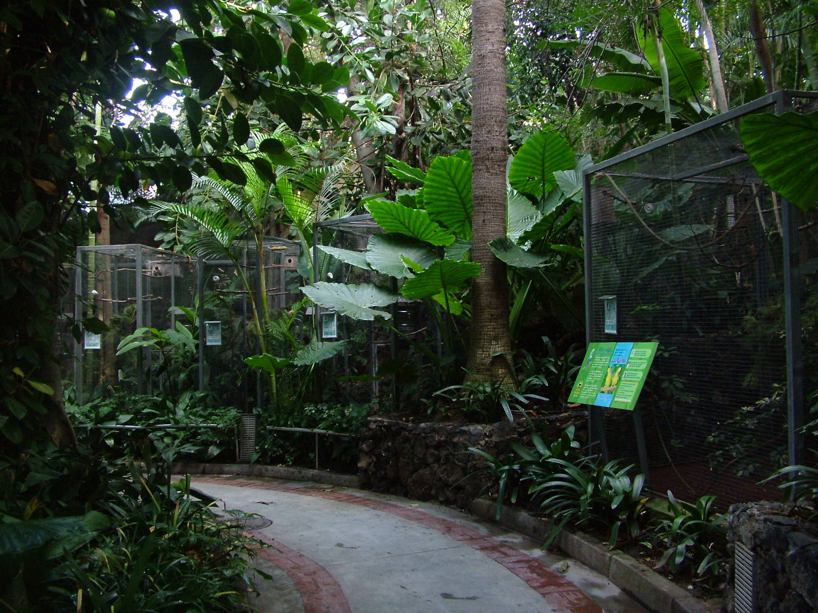 Aviaries at Loro Parque, 08/11/10