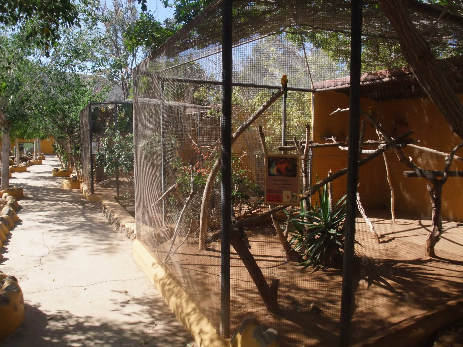 Aviaries at Monkey Park, 09/11/10