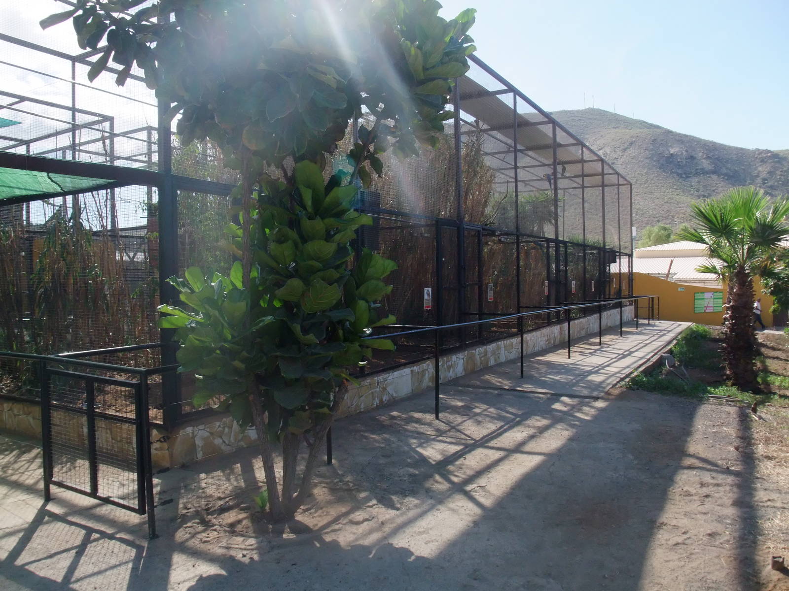 Aviaries at Monkey Park, 09/11/10