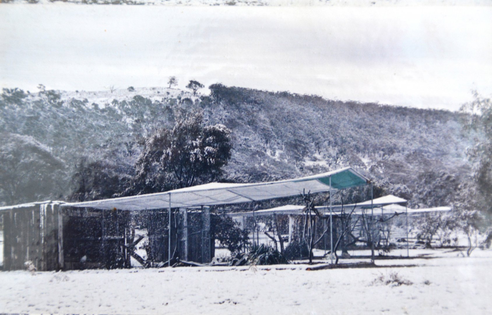 Aviaries at Mugga Lane zoo