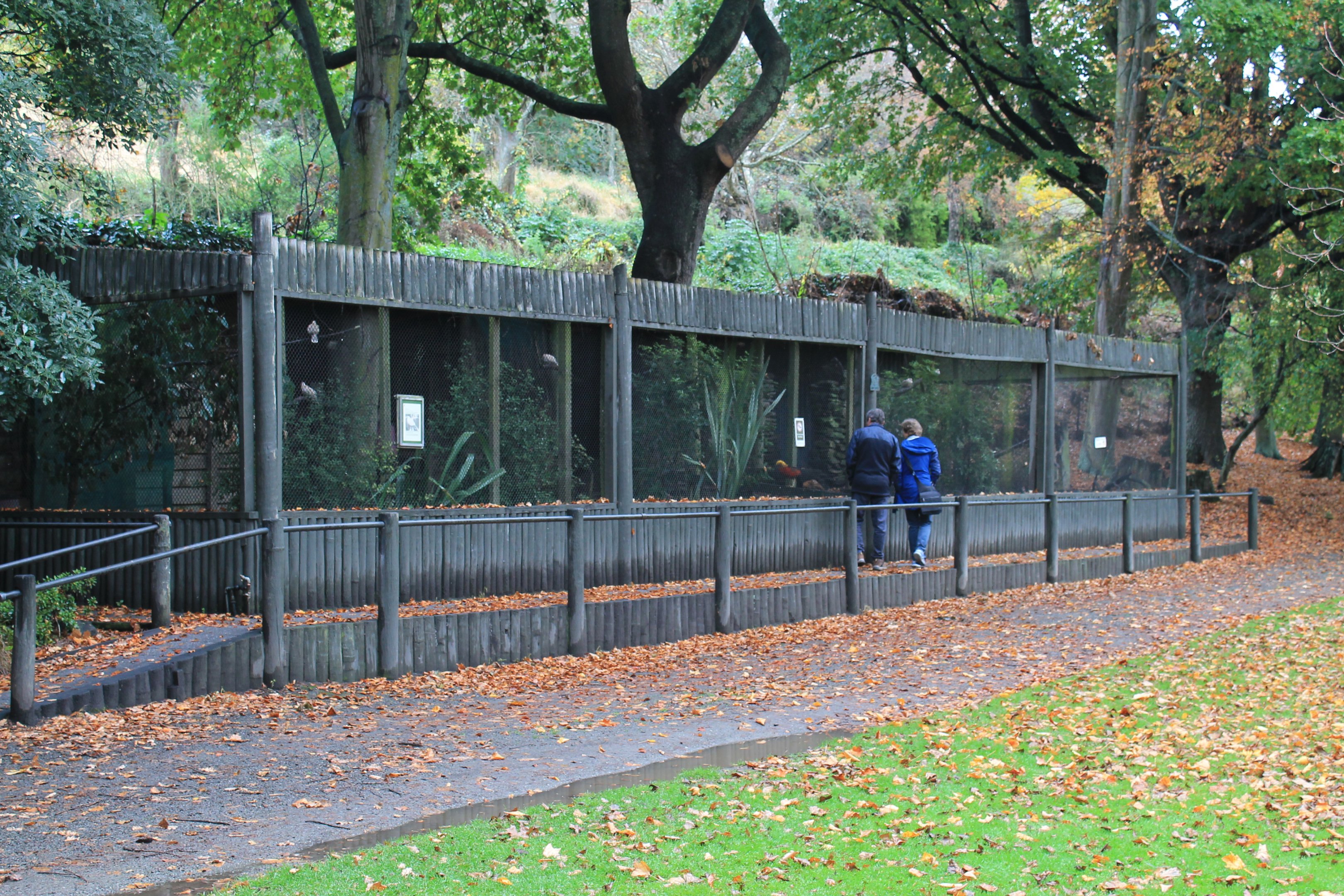 Aviaries at Oamaru Public Gardens