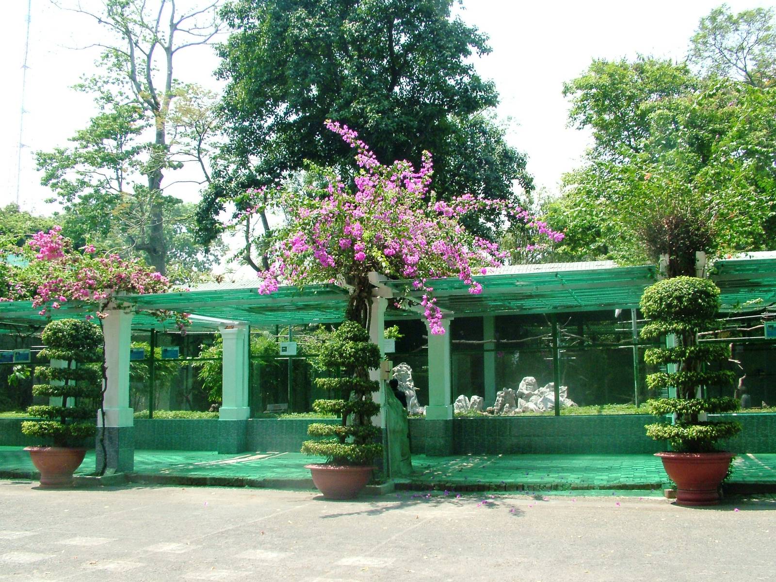 Aviaries at Saigon Zoo, 16/03/12