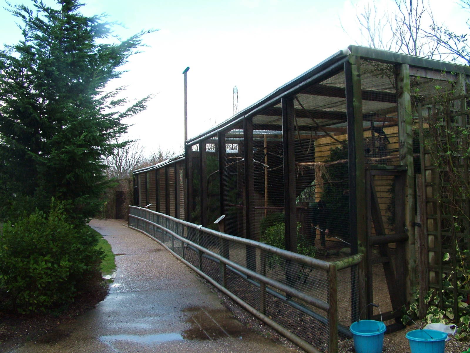 Aviaries at Tropical Wings 29/11/09