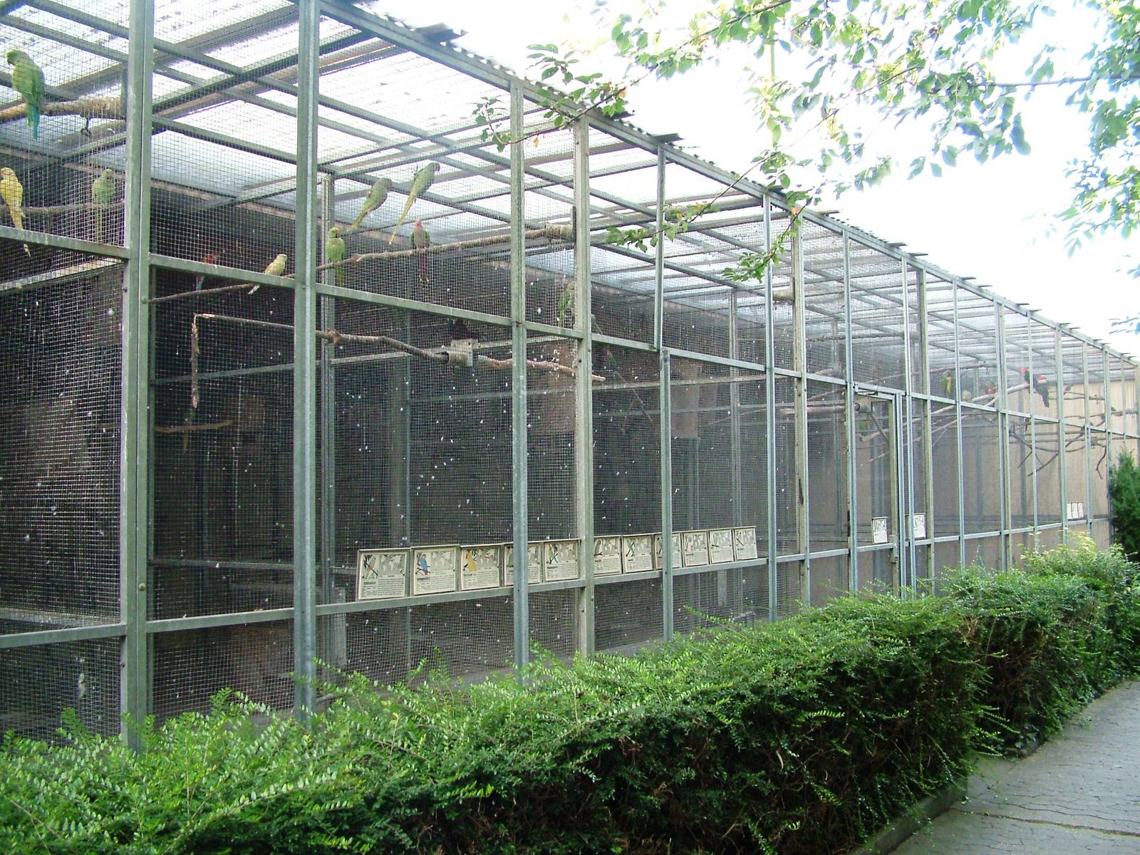 Aviaries at Vogelpark Biebesheim, 05/09/2010