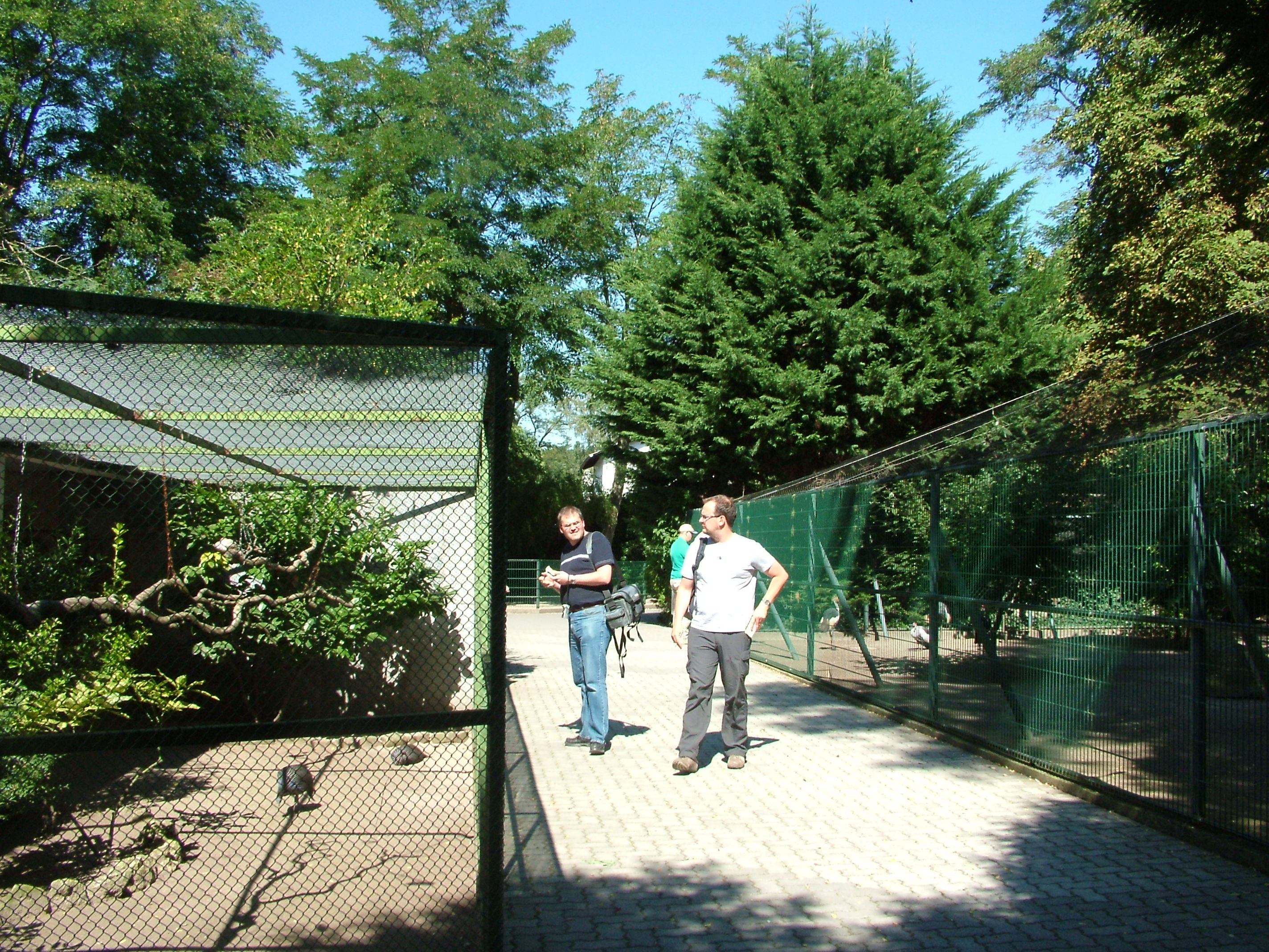 Aviaries at Vogelpark Birkenheide, 6th Sept 2010