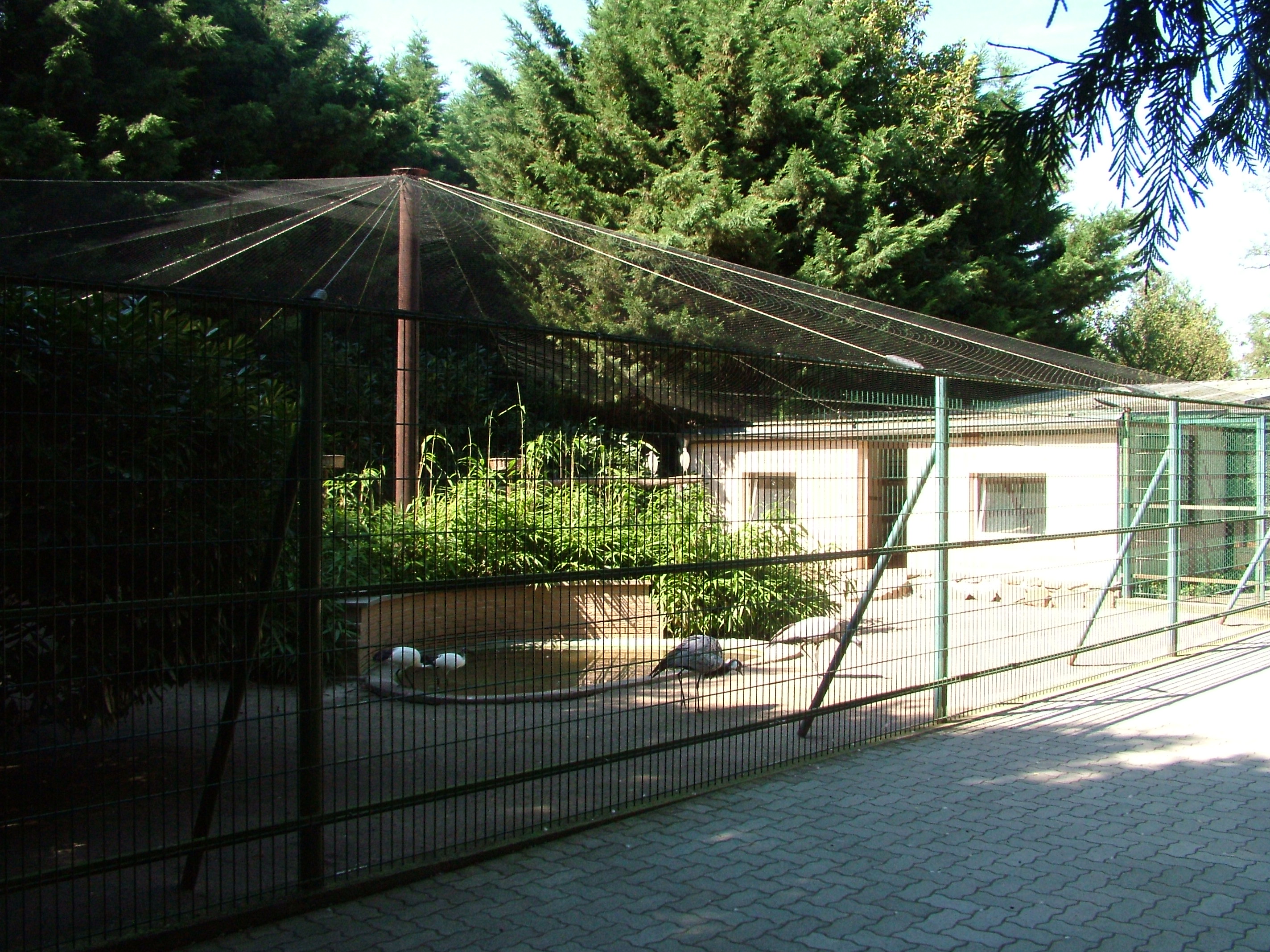 Aviaries at Vogelpark Birkenheide, 6th Sept 2010