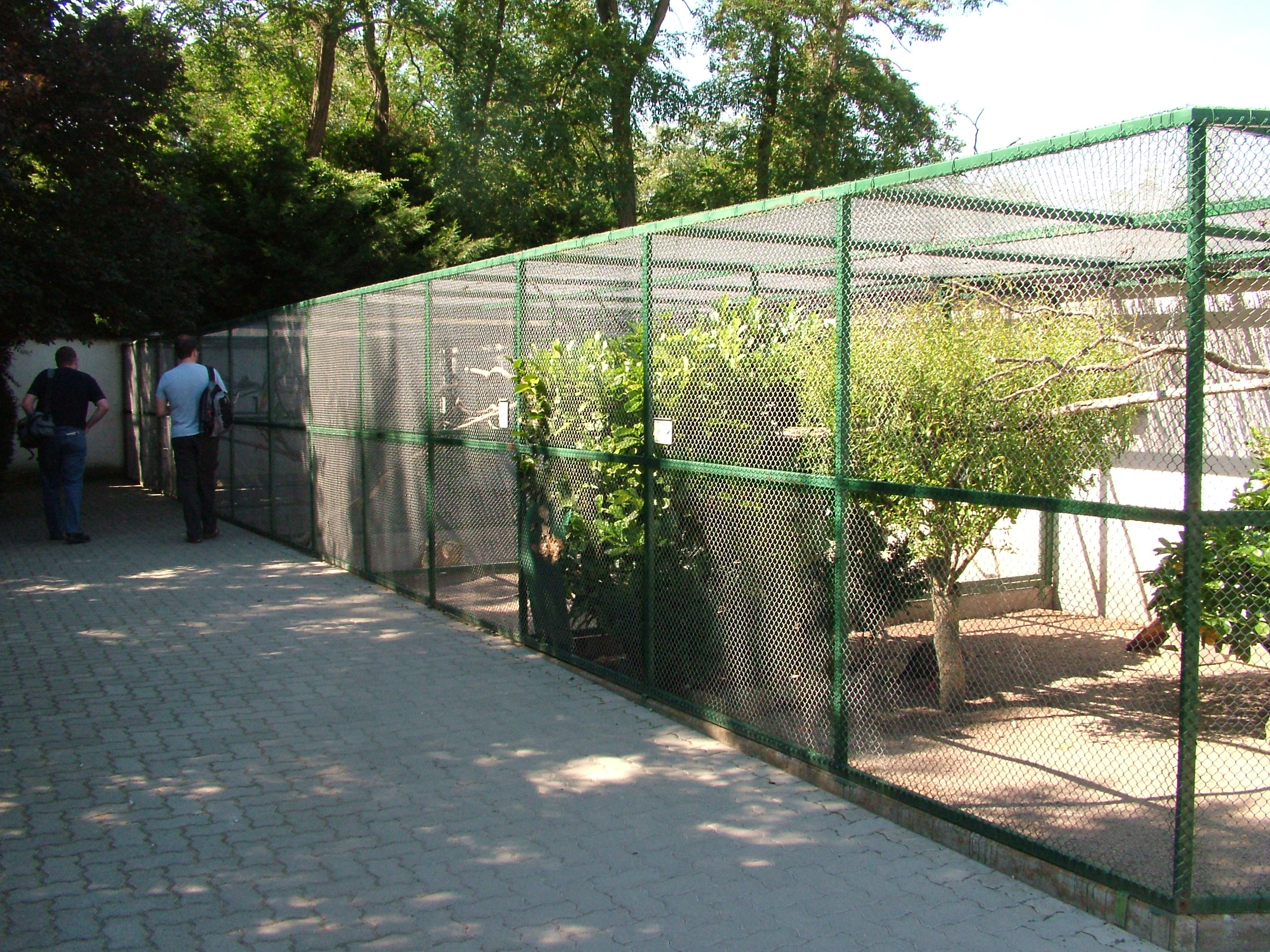 Aviaries at Vogelpark Birkenheide, 6th Sept 2010