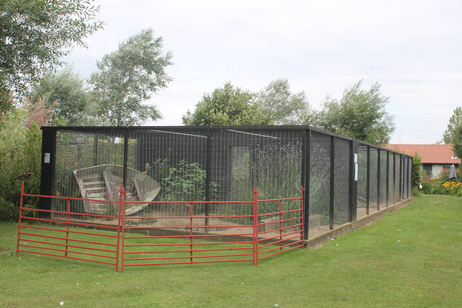 Aviaries August 2013