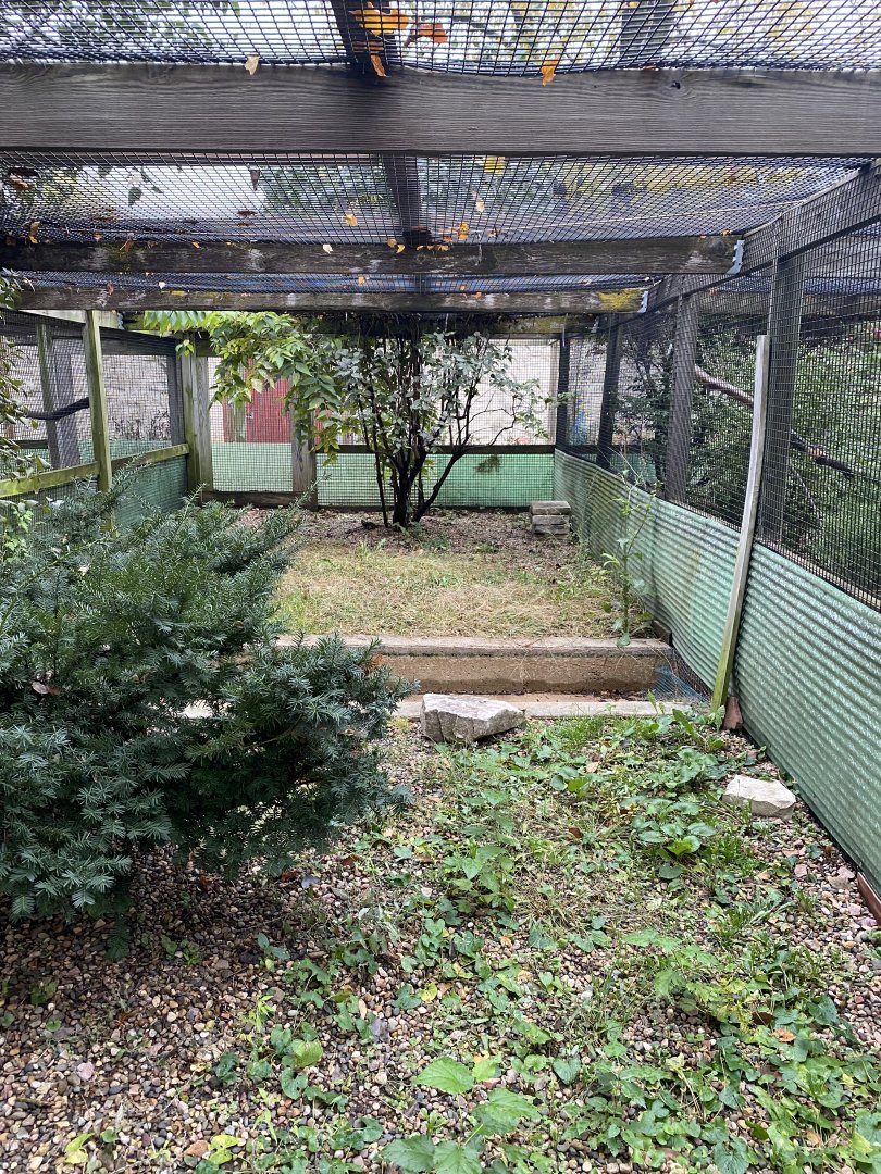 Aviaries - Eastern Screech Owl Exhibit