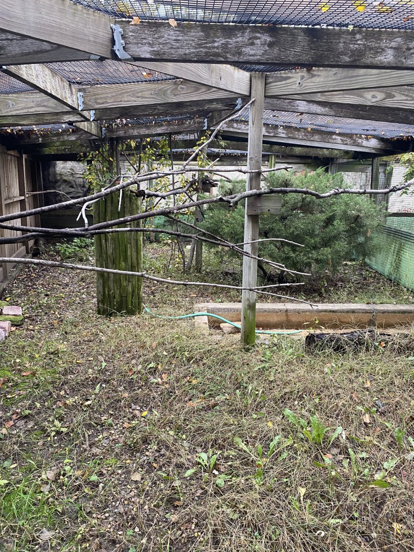 Aviaries -  Empty Exhibit