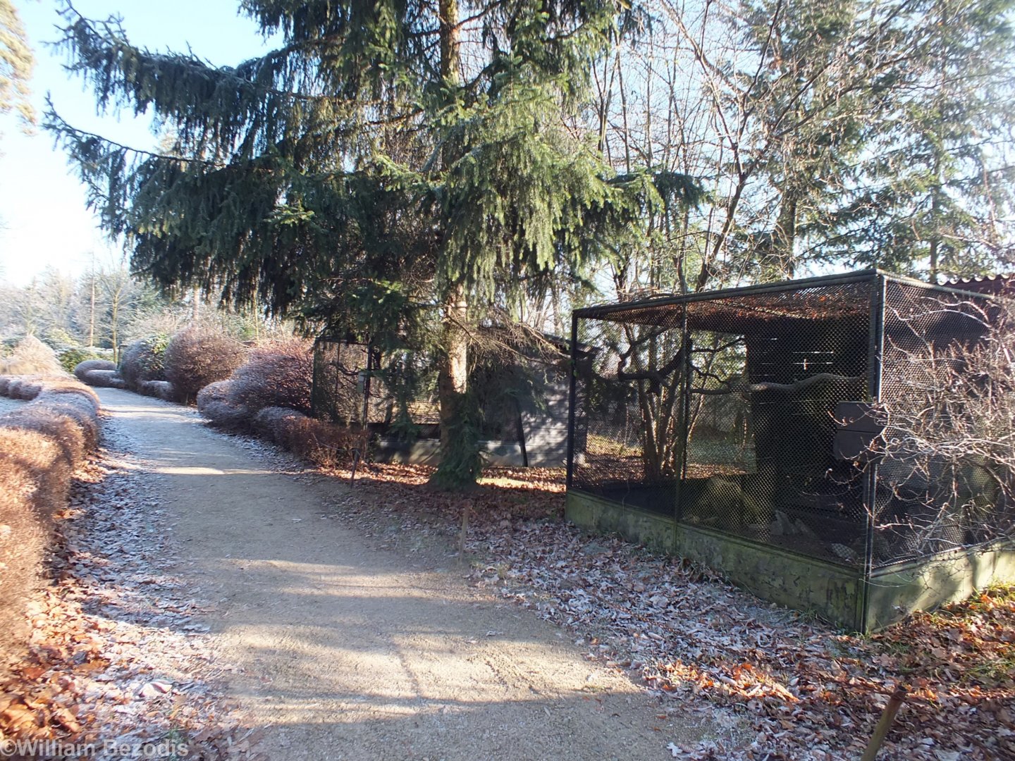 Aviaries Empty for the Winter