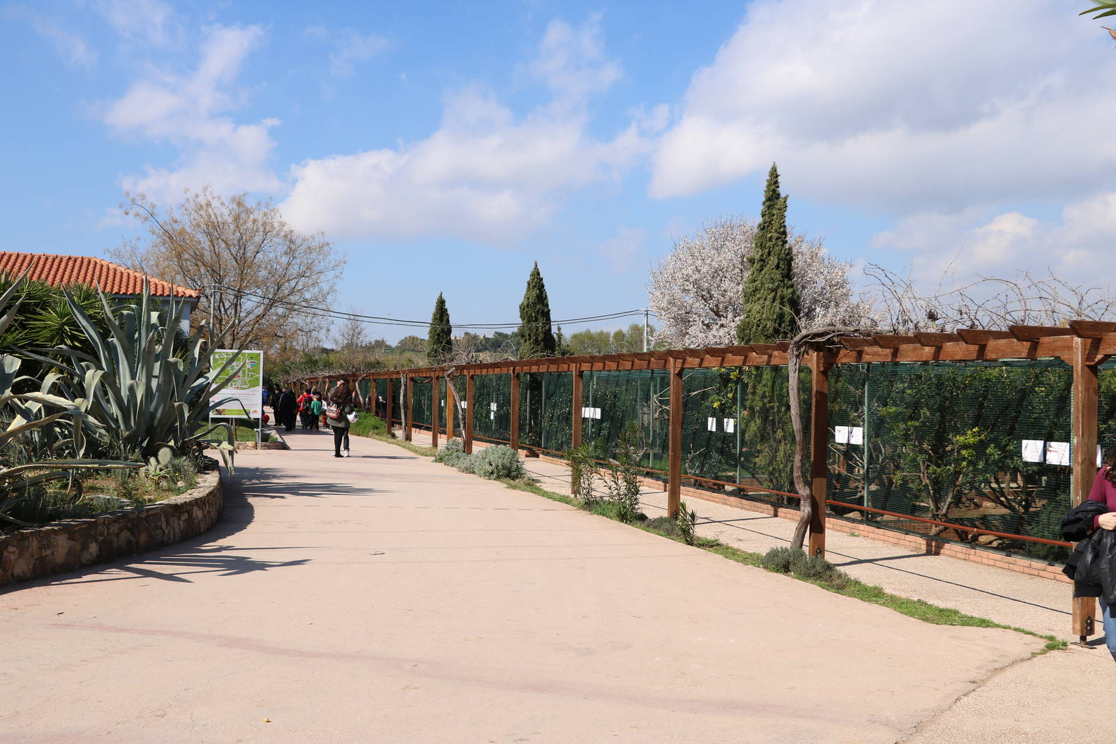Aviaries, February 2016