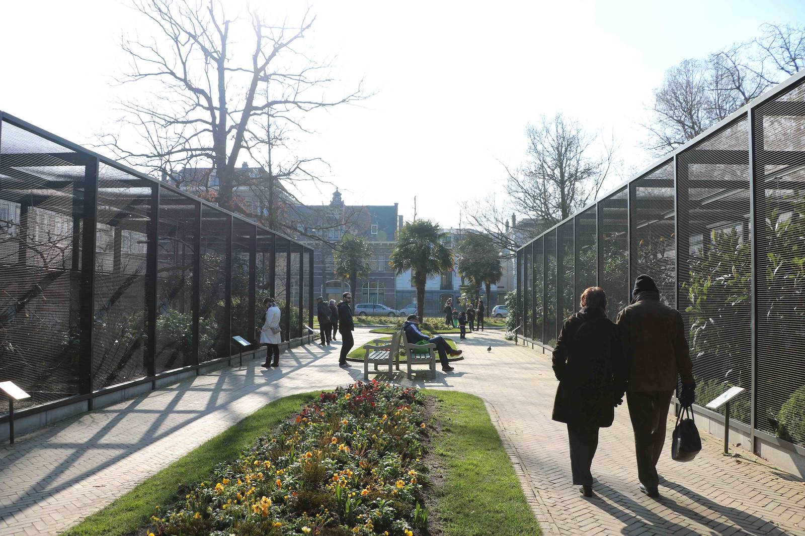 Aviaries, February 2016