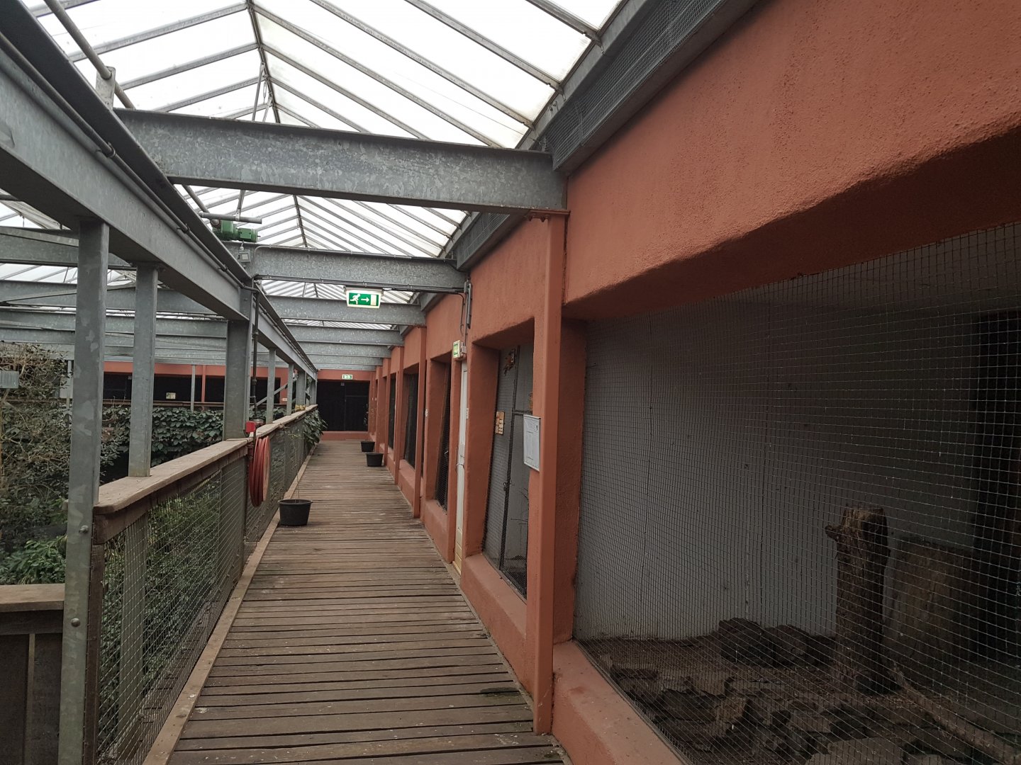 Aviaries first floor Bamboo Jungle