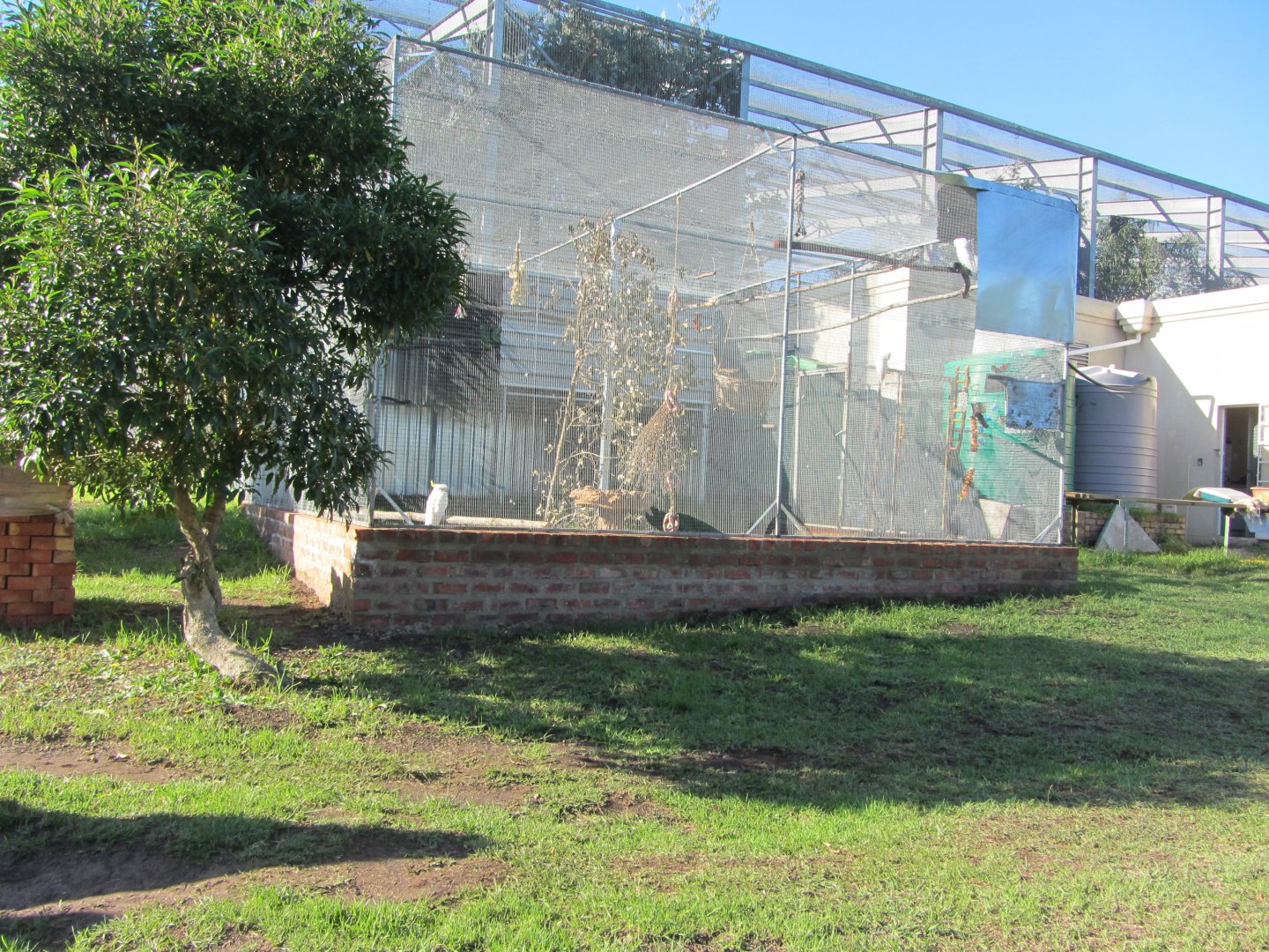 Aviaries for Birds of Private Owners