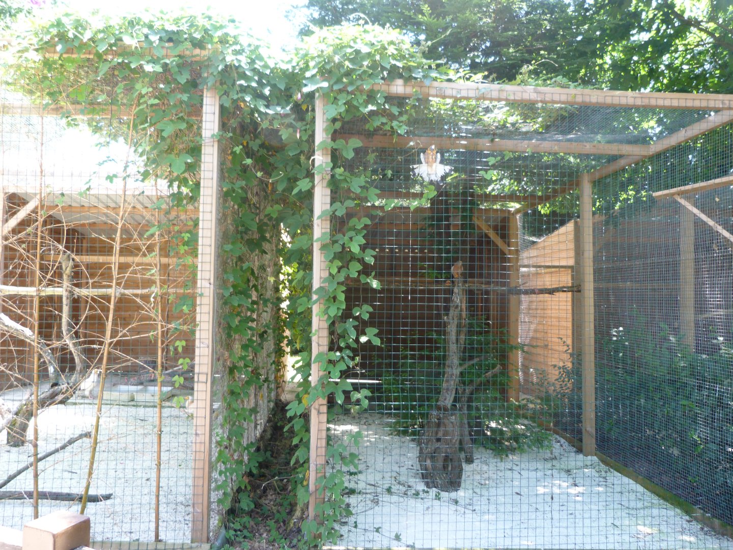 Aviaries for brids of prey -Parque de la Naturaleza de Cabárceno (2025)