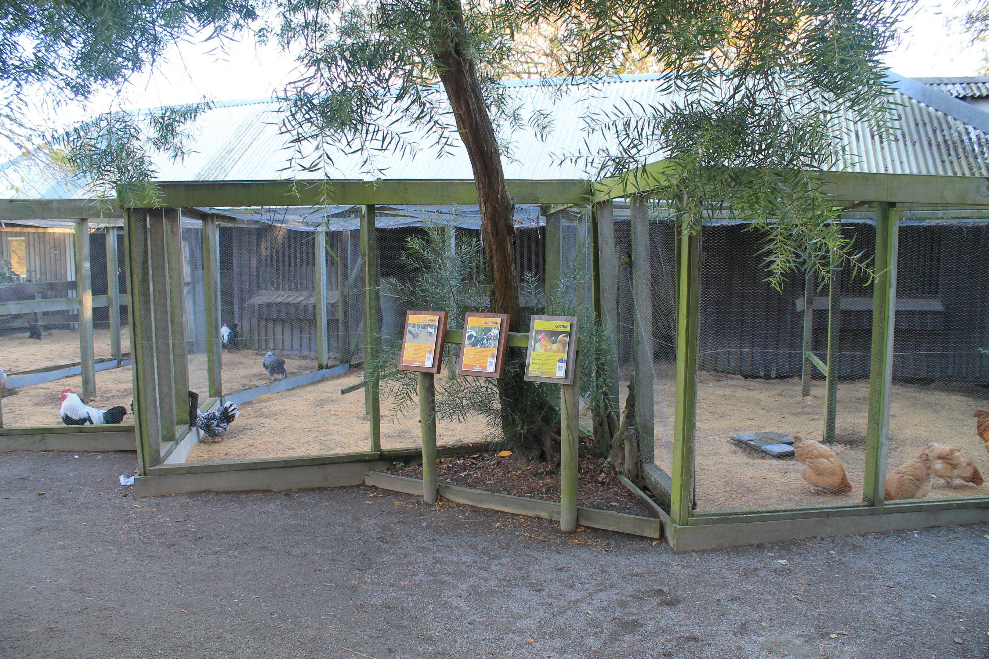 Aviaries for domestic fowl