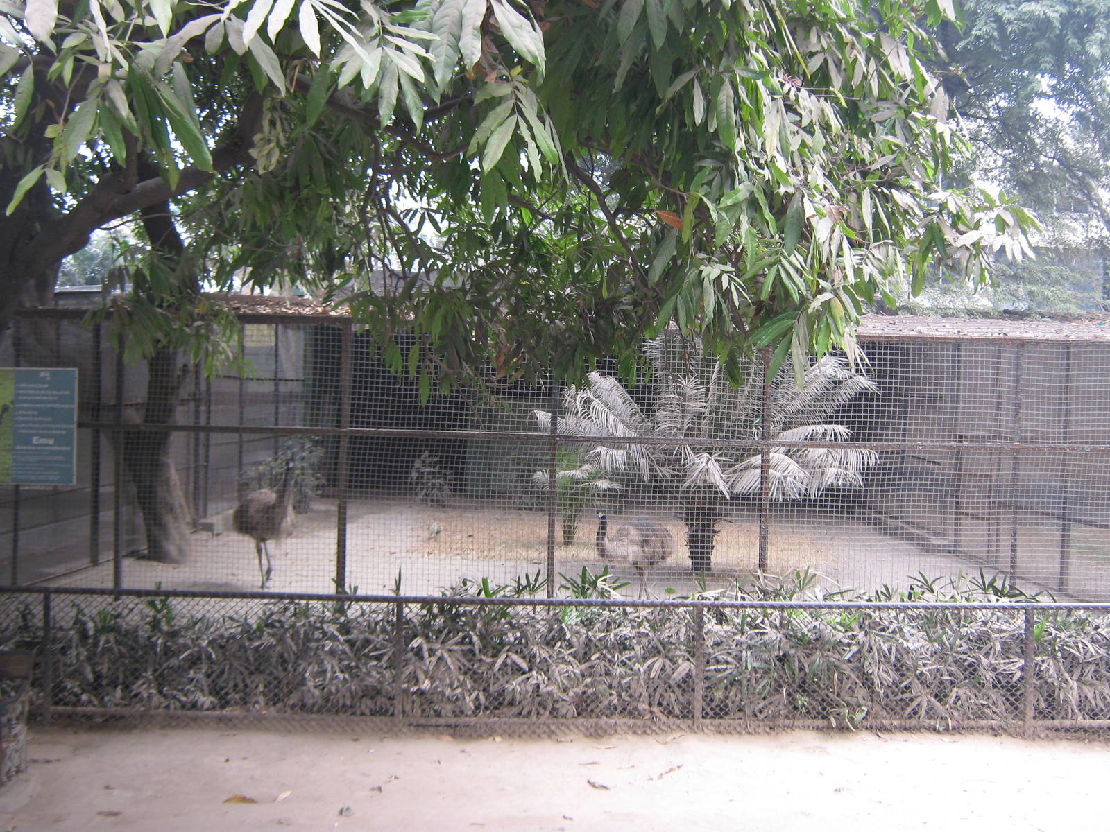 aviaries for emus
