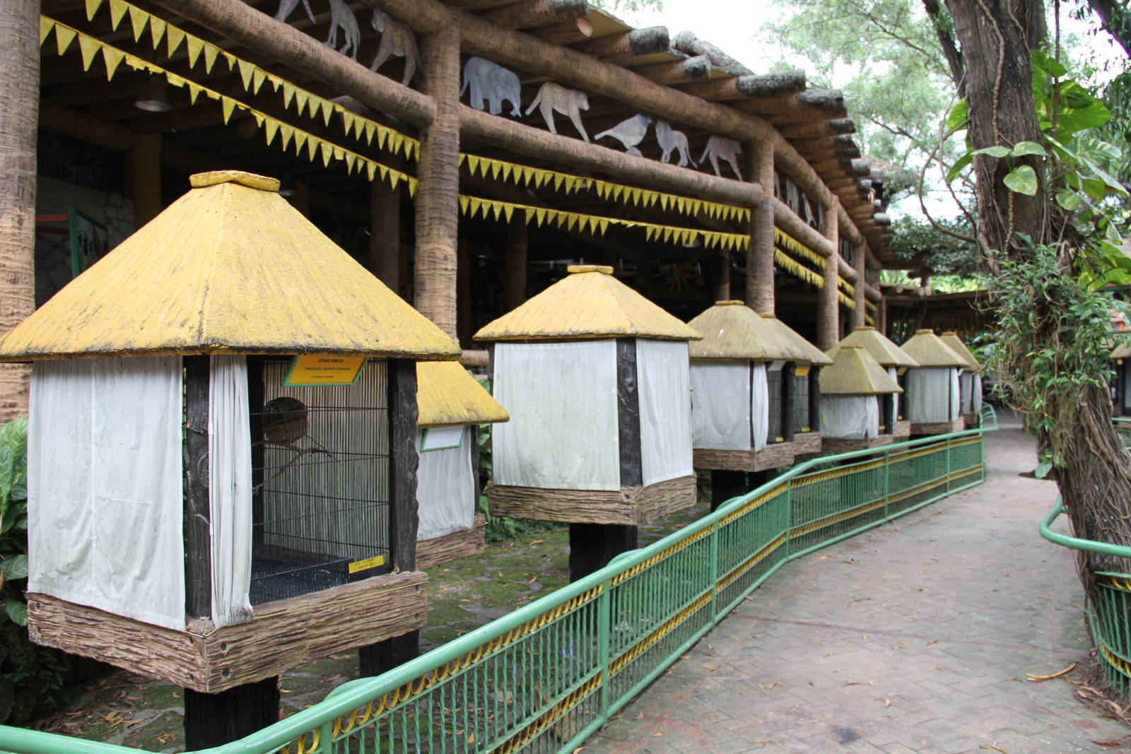 Aviaries for finches and other small insectivorous/frugivorous birds