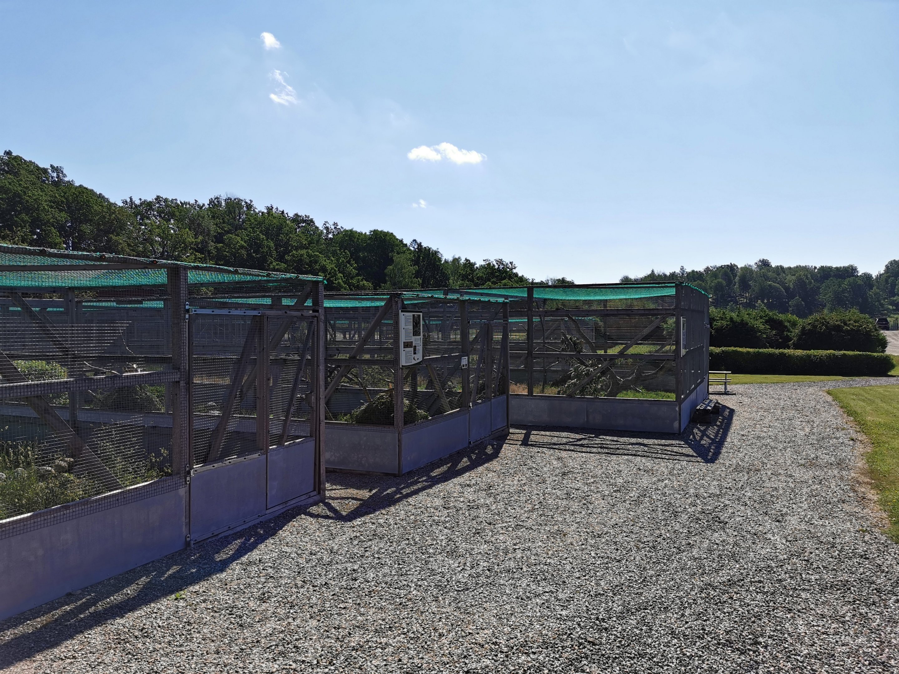 Aviaries for gamefowl