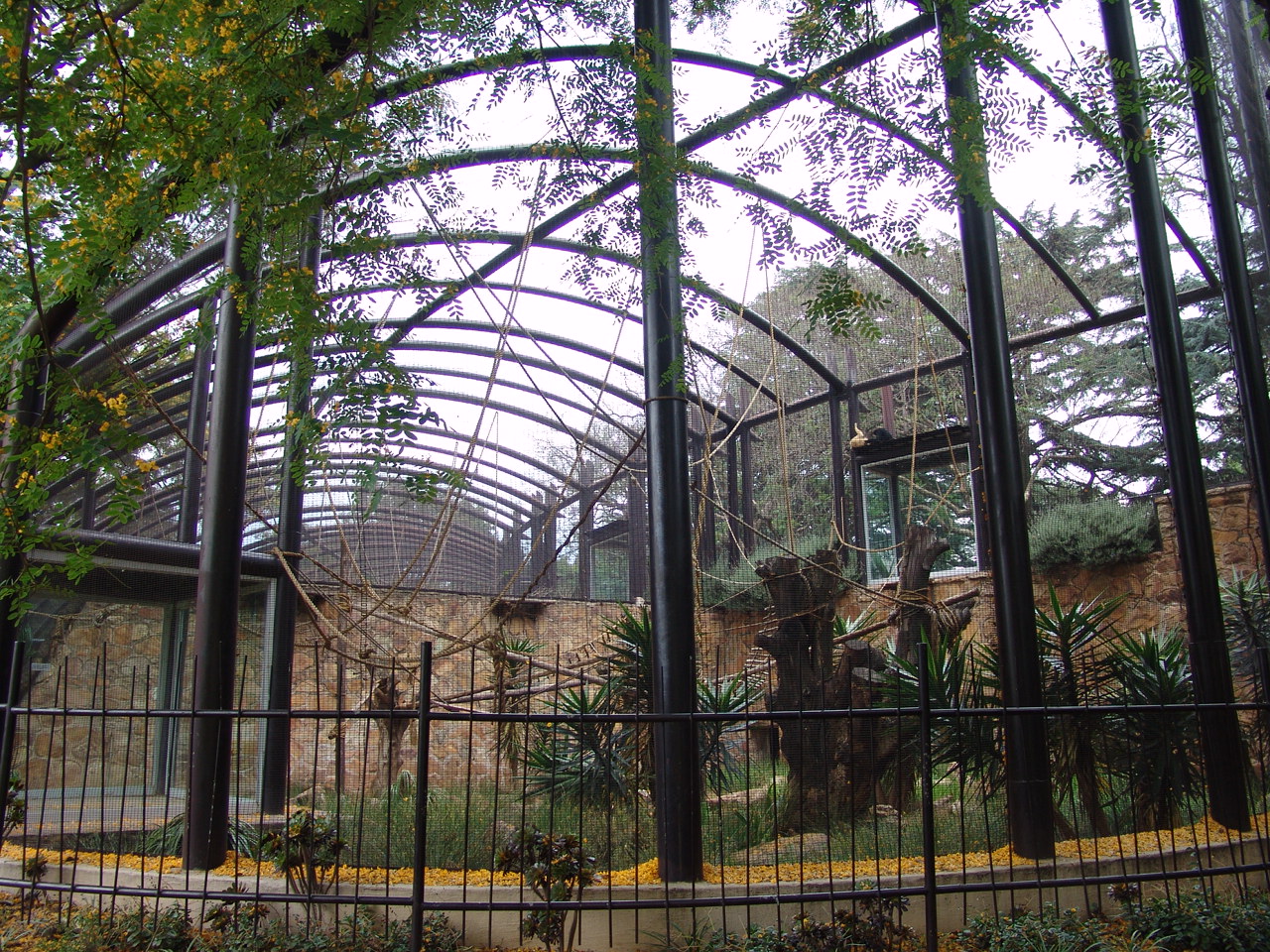 Aviaries for Gibbons and Lemurs