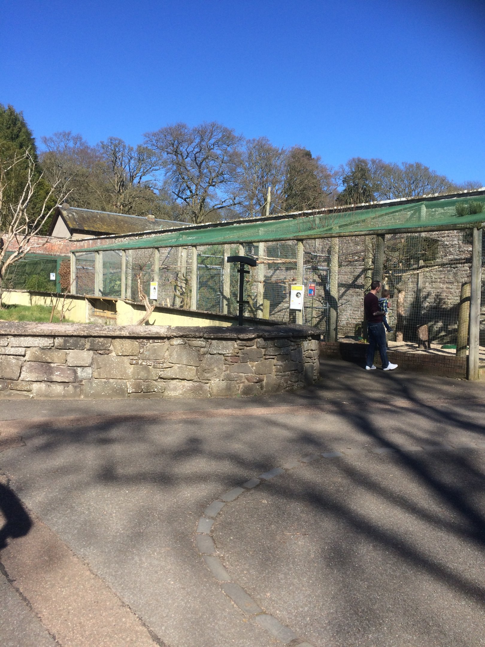 Aviaries for great grey & Ural owls