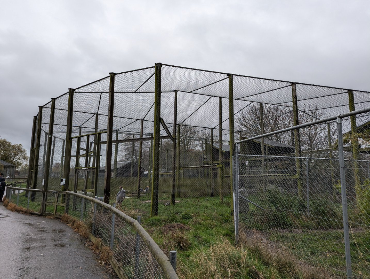 Aviaries for Large Birds