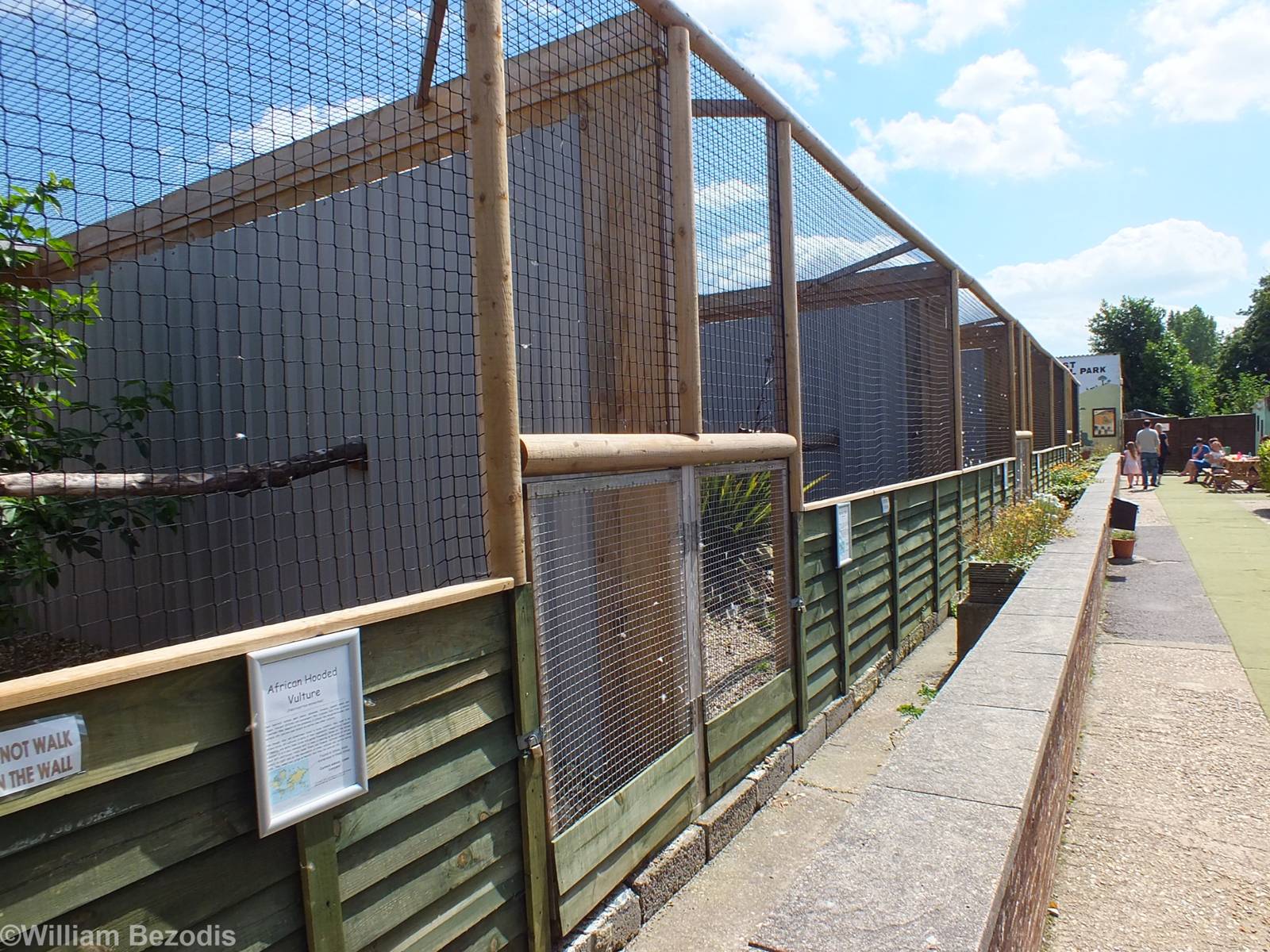 Aviaries for Large Eagle Species