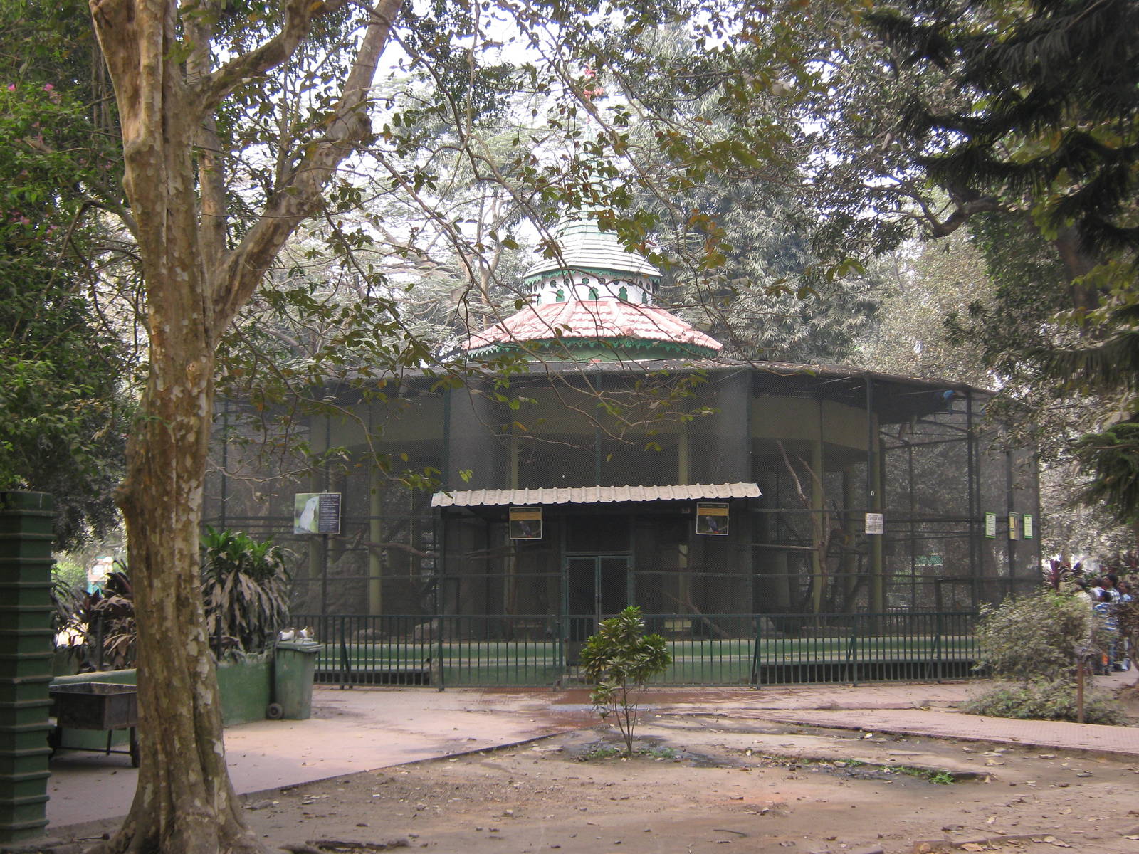 aviaries for large parrots