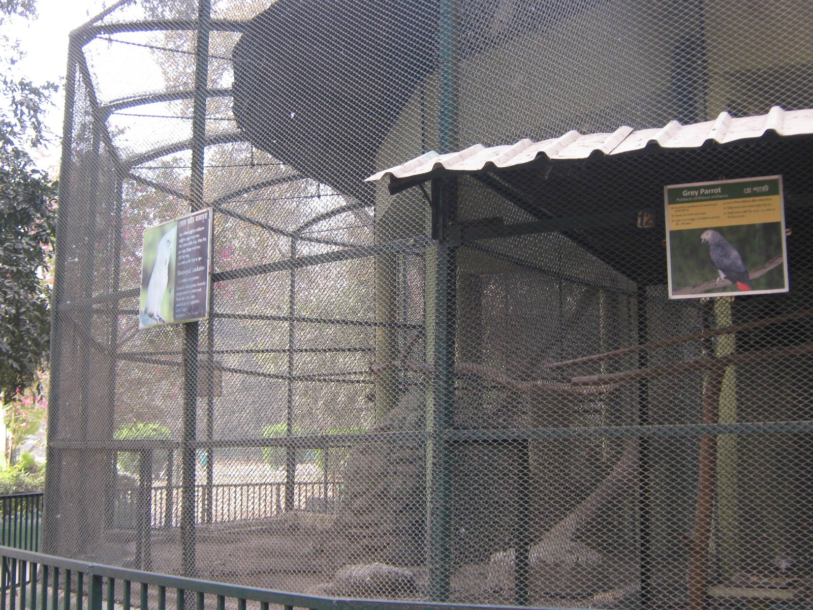 aviaries for large parrots