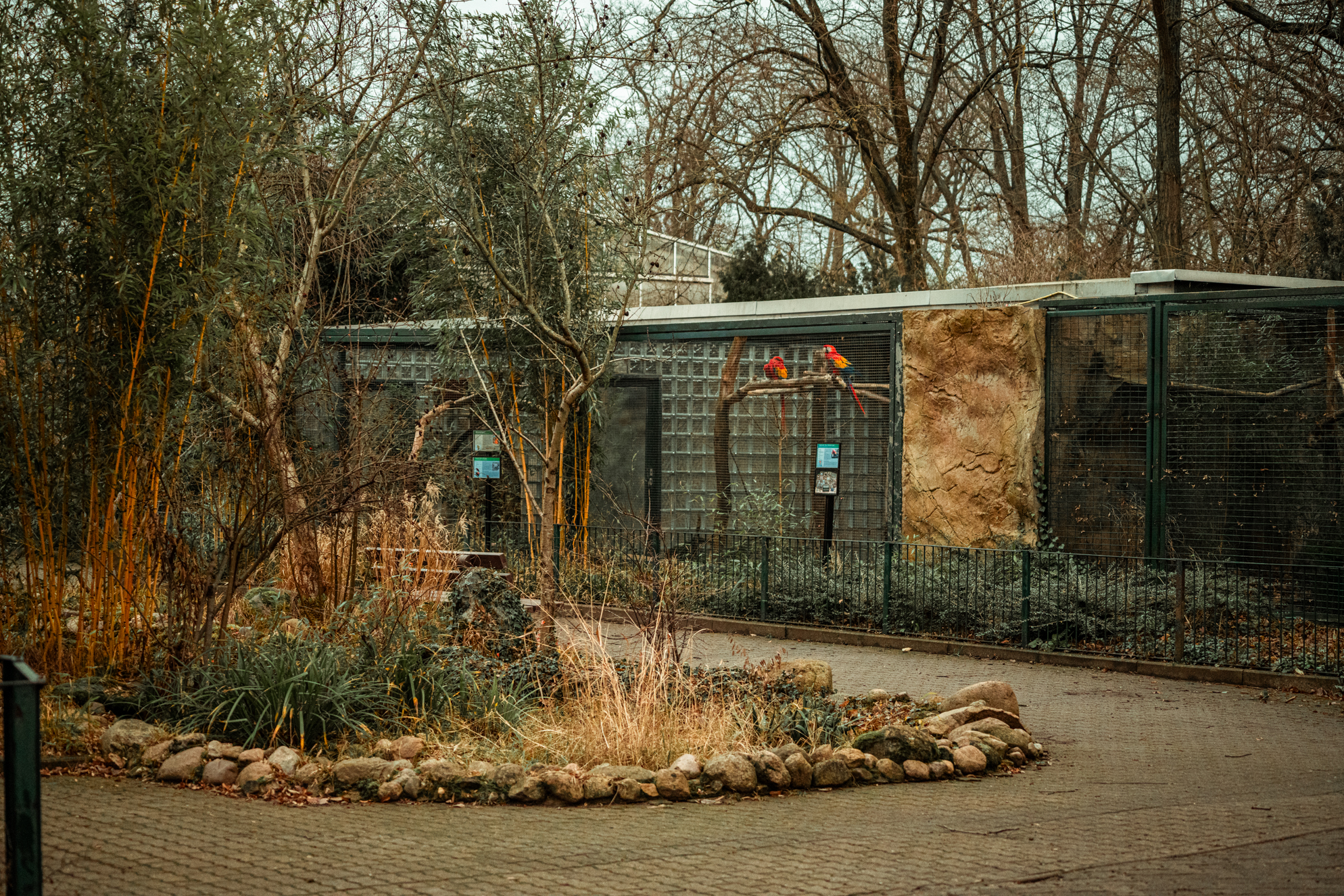 Aviaries for macaws, parrots, tamarins & marmosets