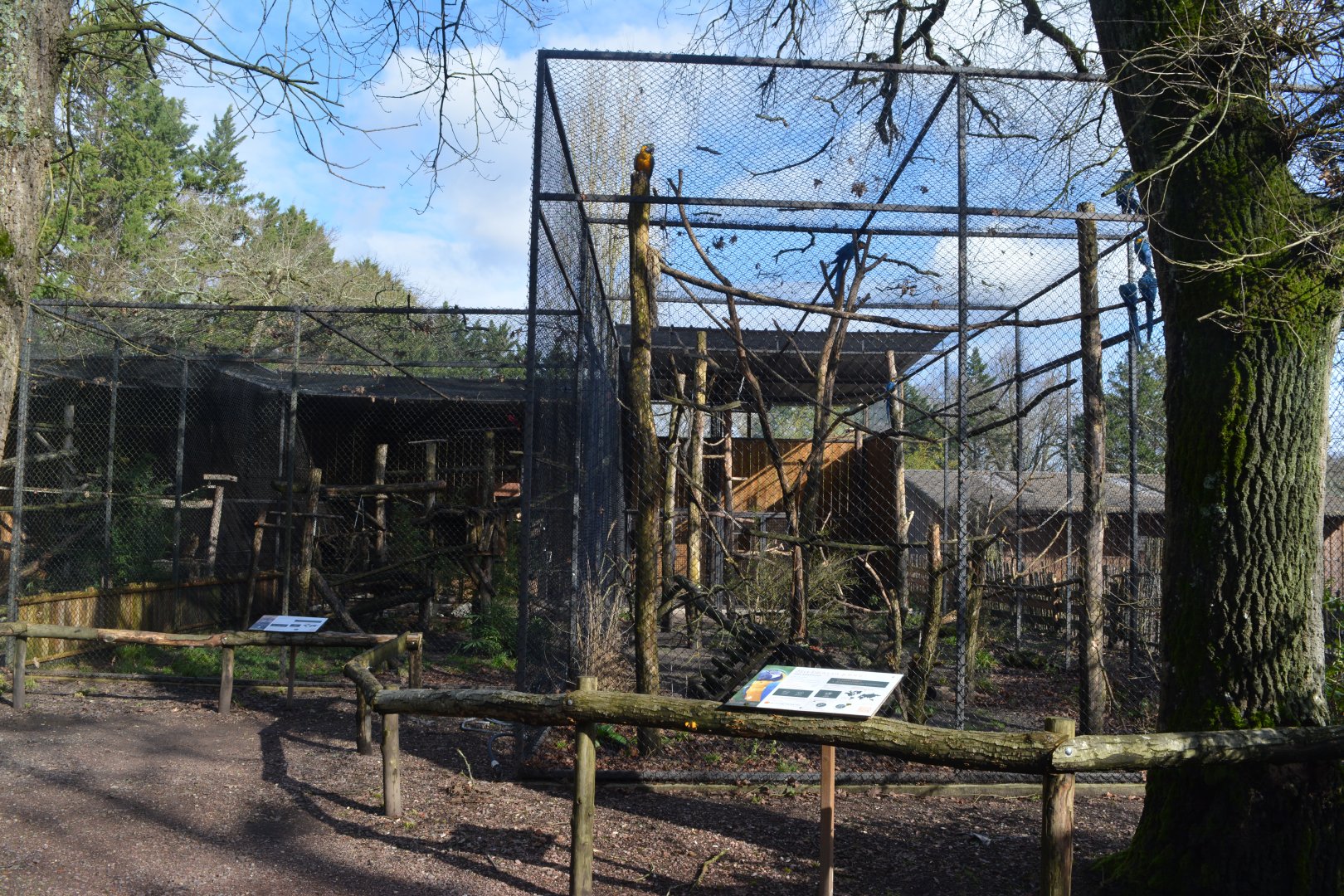 Aviaries for macaws