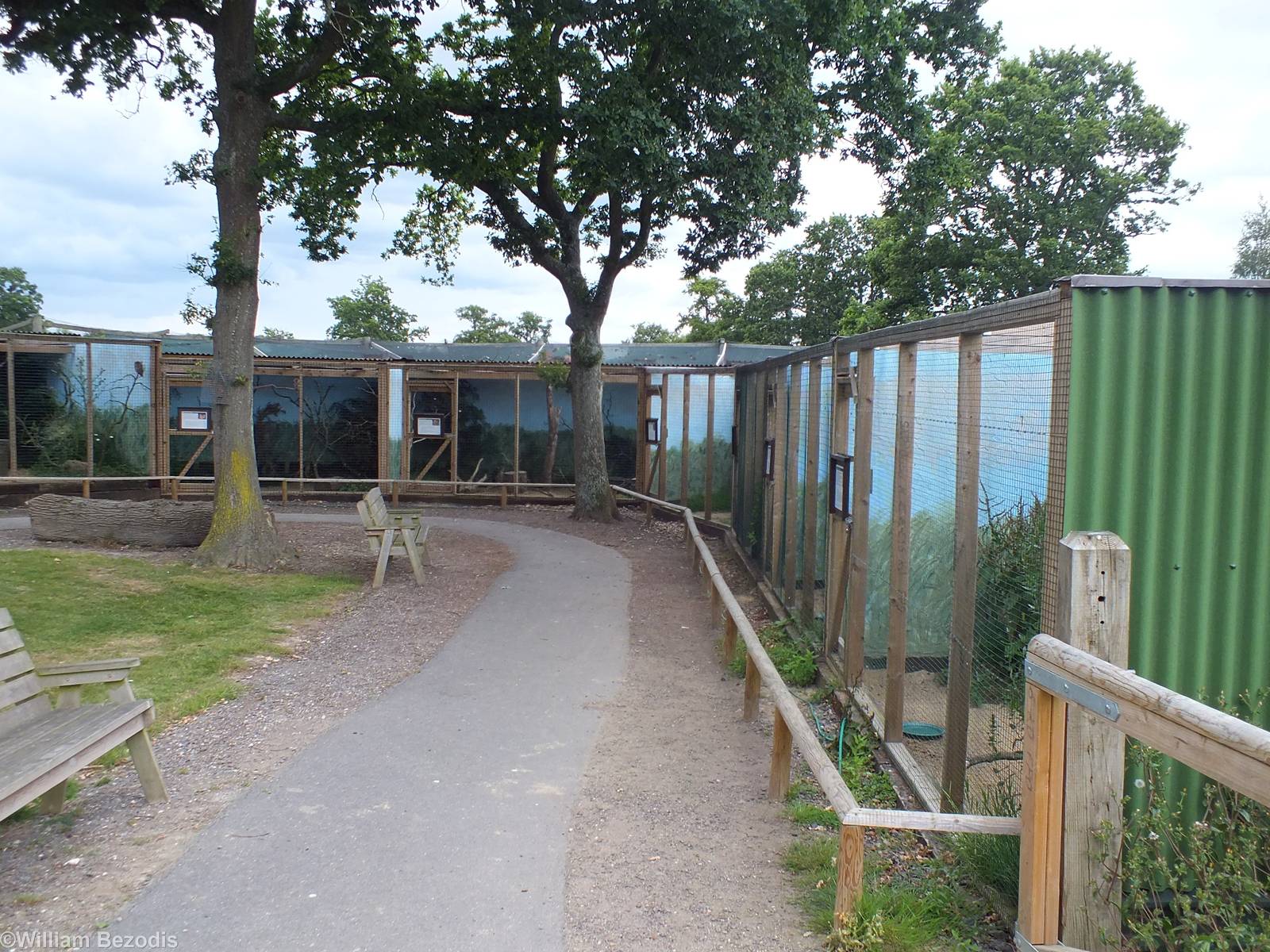 Aviaries for Owls