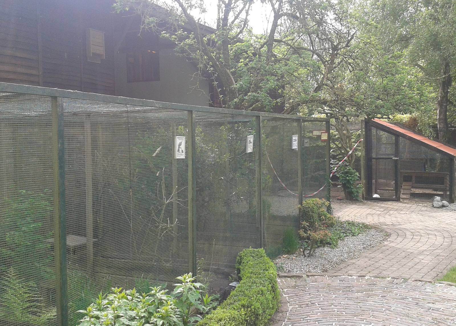 Aviaries for peacock-pheasants