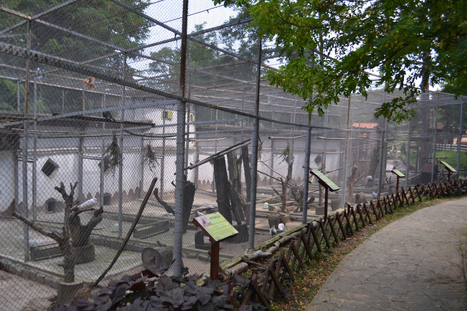 Aviaries for Pheasants, pigeons and chickens