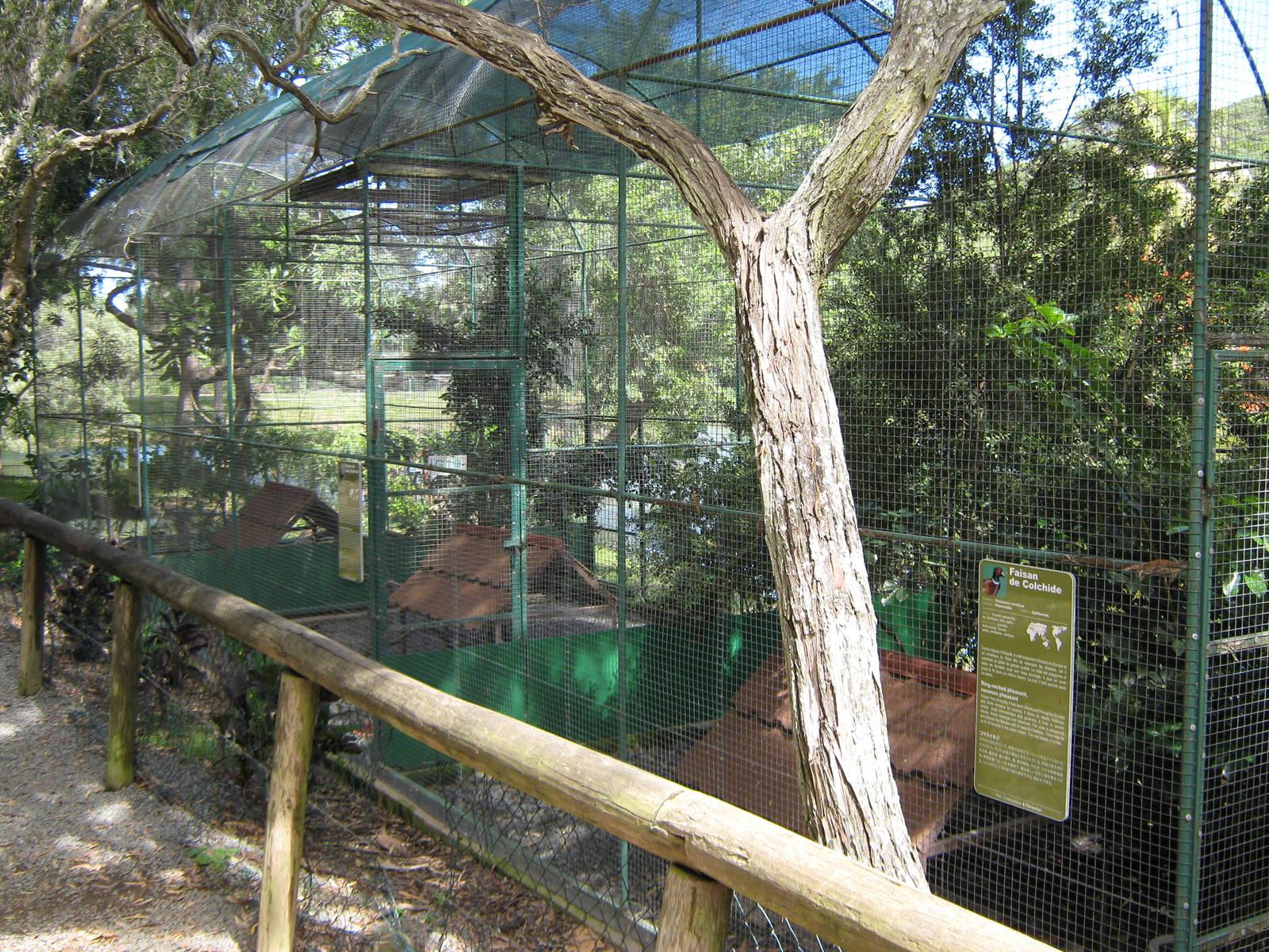 aviaries for pheasants