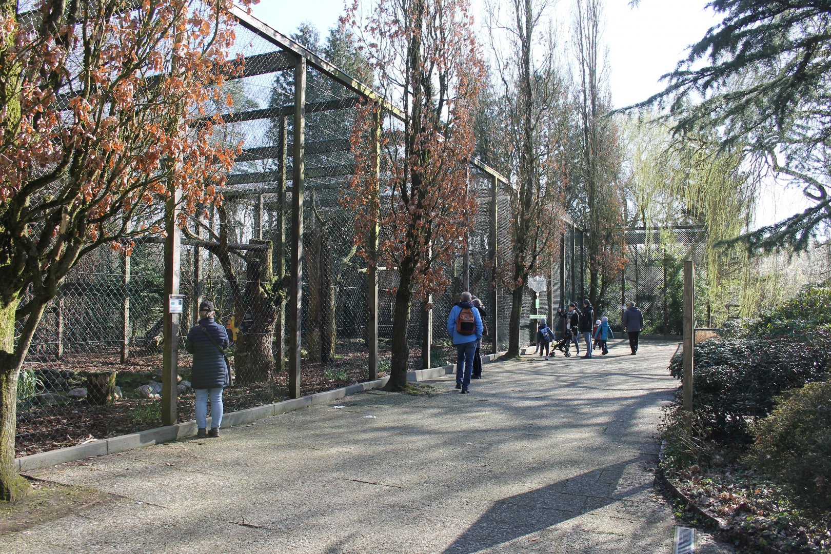 Aviaries for predator birds (24/3-19)