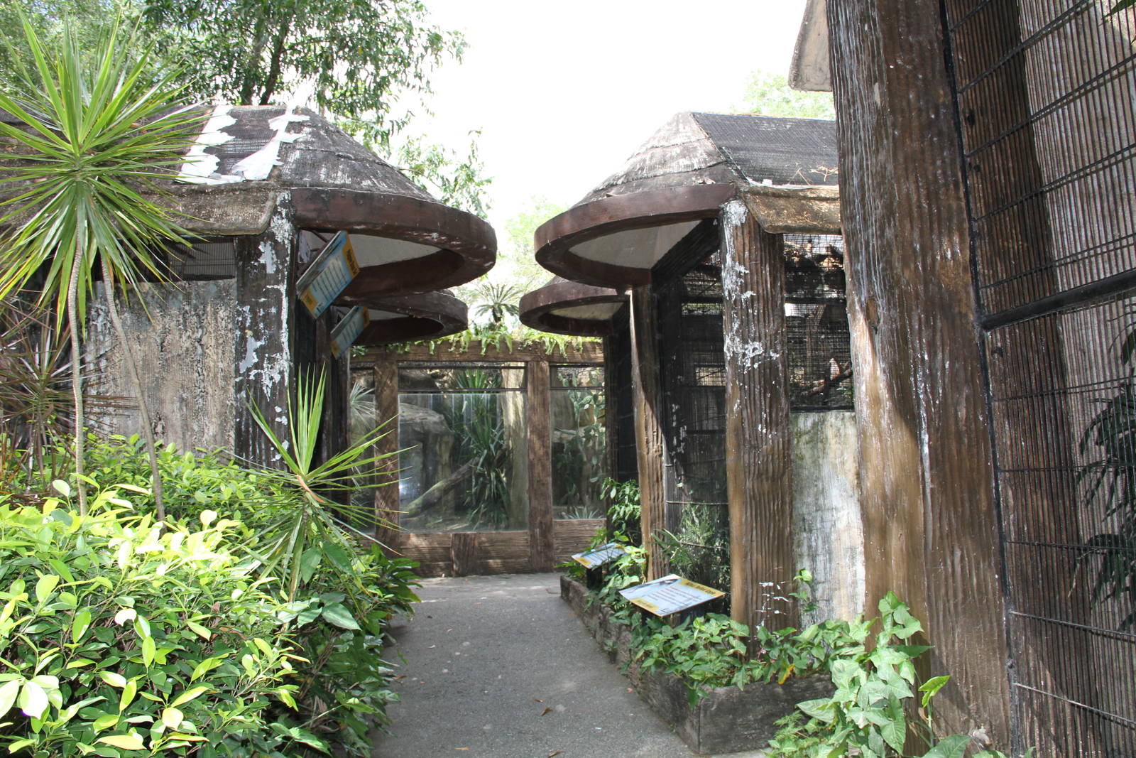 Aviaries for small owls and other small birds of prey