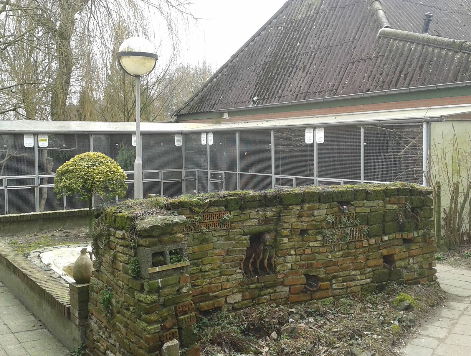 aviaries for smaller birds