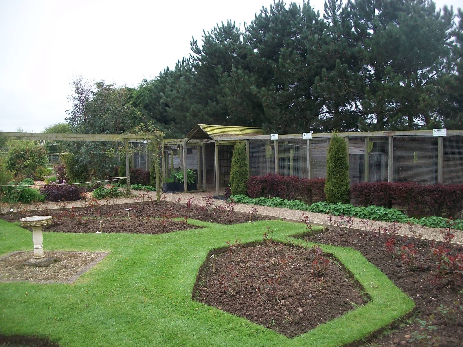 Aviaries for smaller psittacines, 1st May 2014