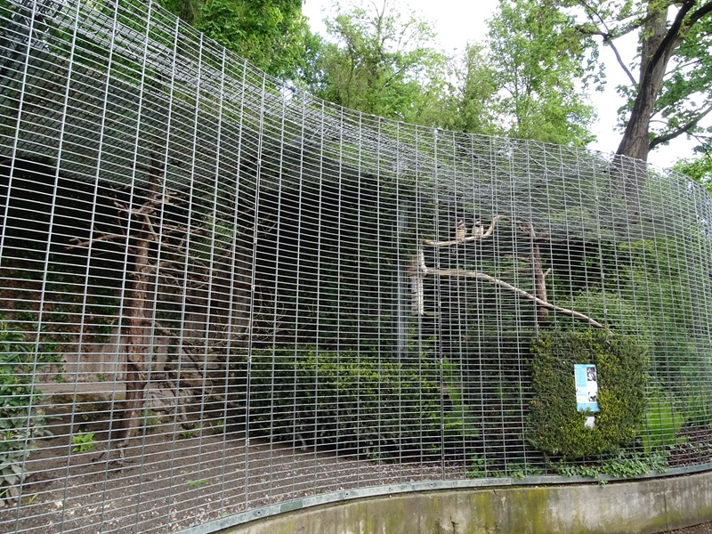 Aviaries for ural owl (left) and spectacled owl (right)