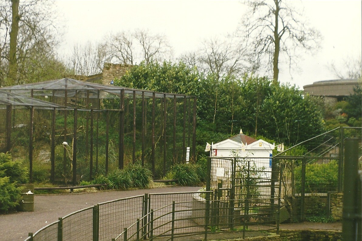 Aviaries from across the Barbary Sheep exhibit 4th April 1998
