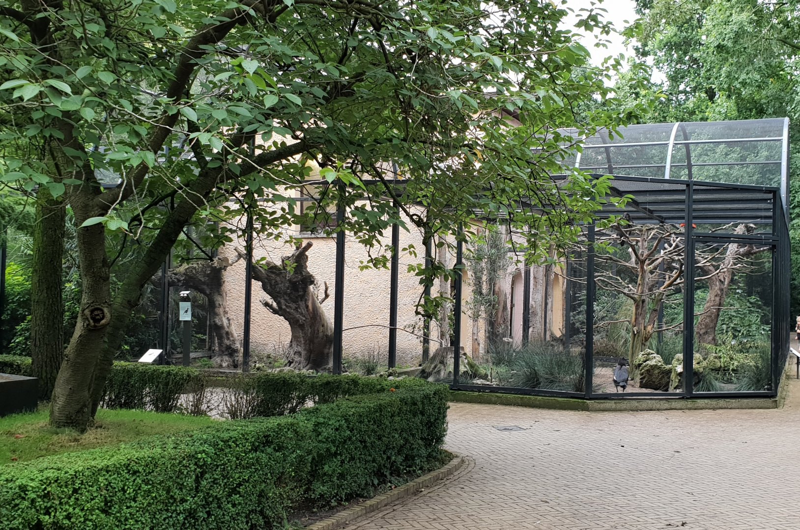 Aviaries Ground hornbill and Ibis