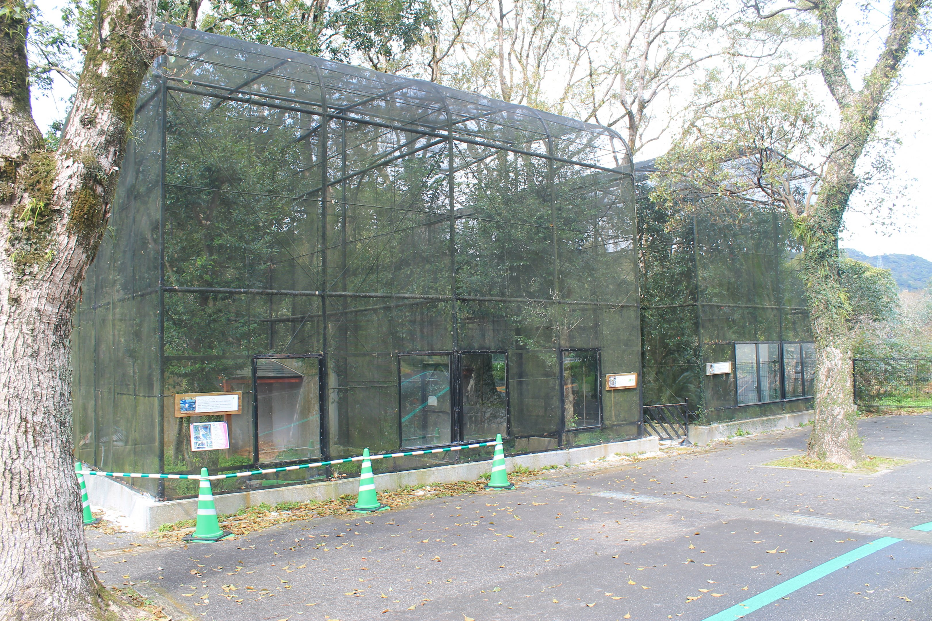 Aviaries - Hirakawa Zoo (Kagoshima)