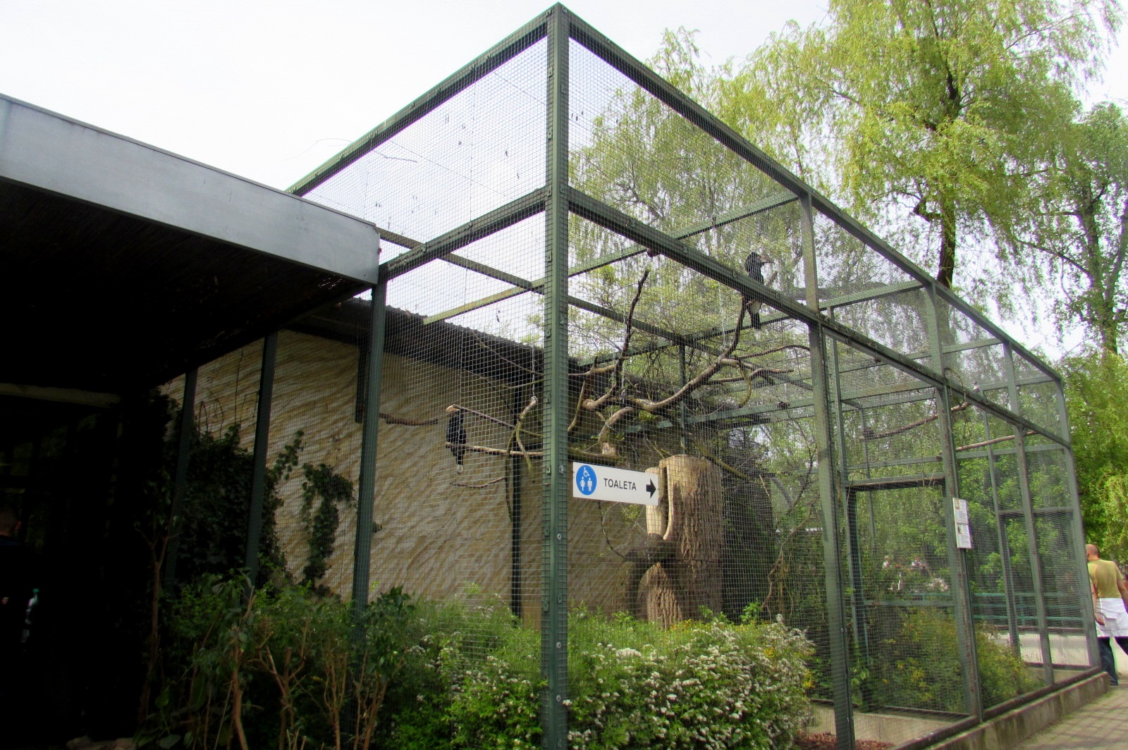 Aviaries Hornbills - 05/2015