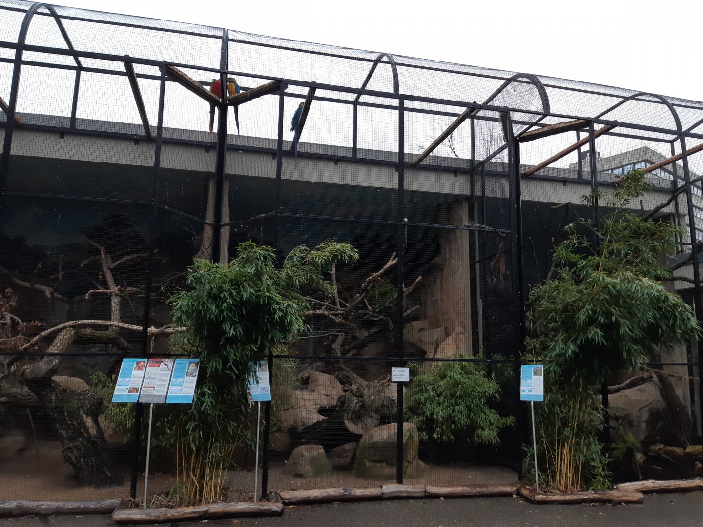 Aviaries in front of the monkey house