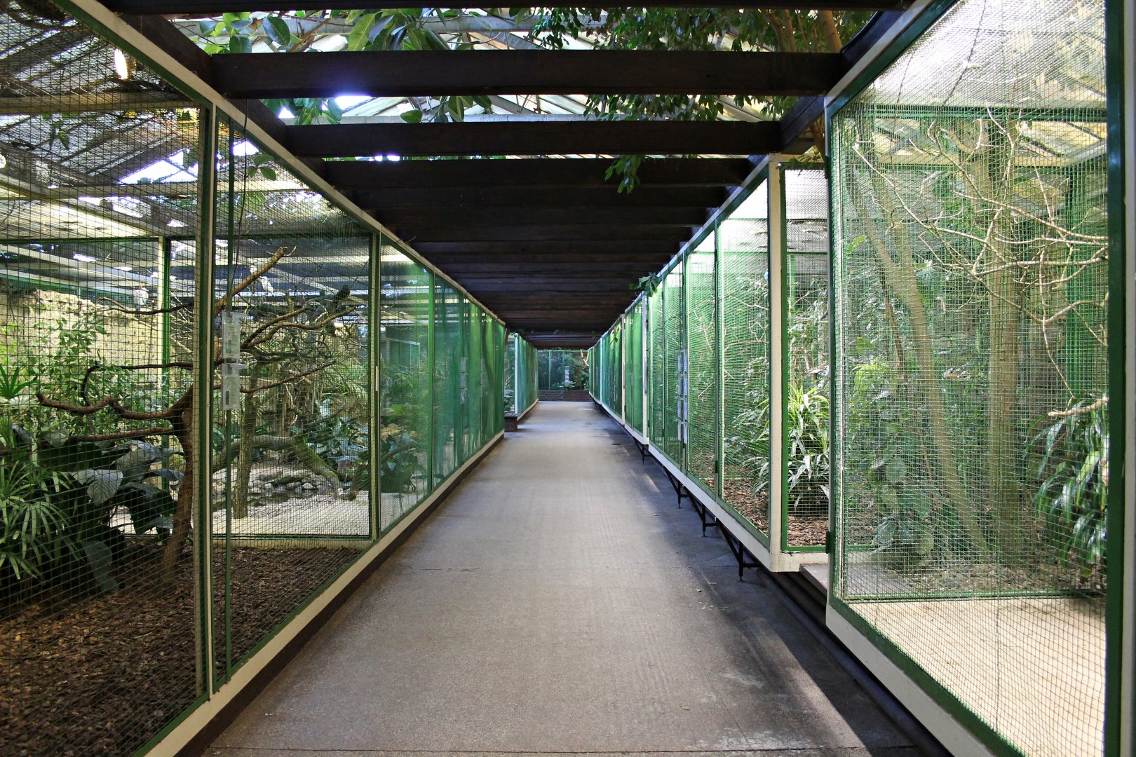 Aviaries in "Paradies-halle". (24/3-19)