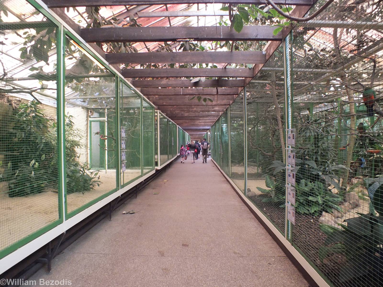 Aviaries in 'Paradies-Halle'