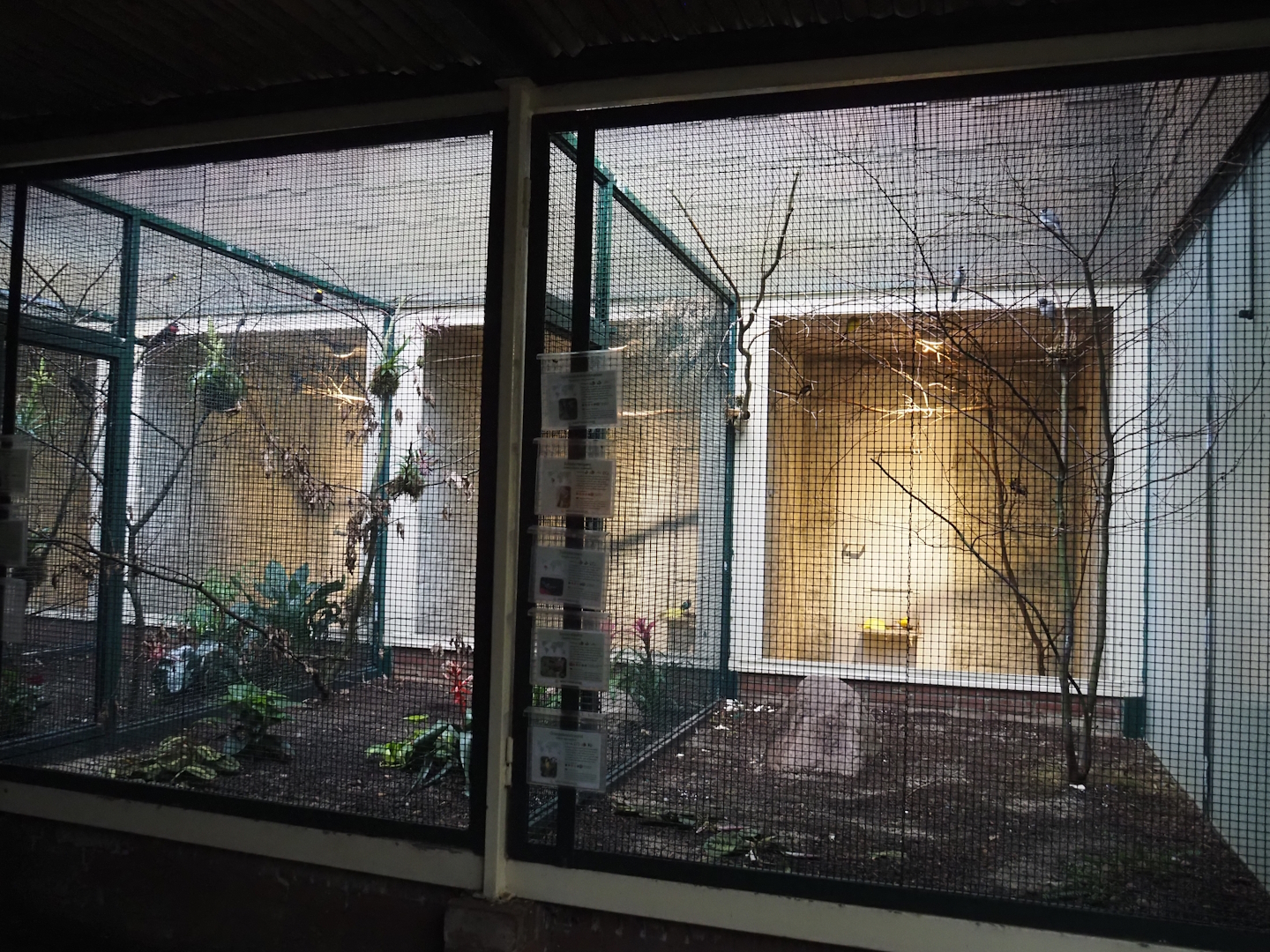 Aviaries in Pukara, 2024-05-22