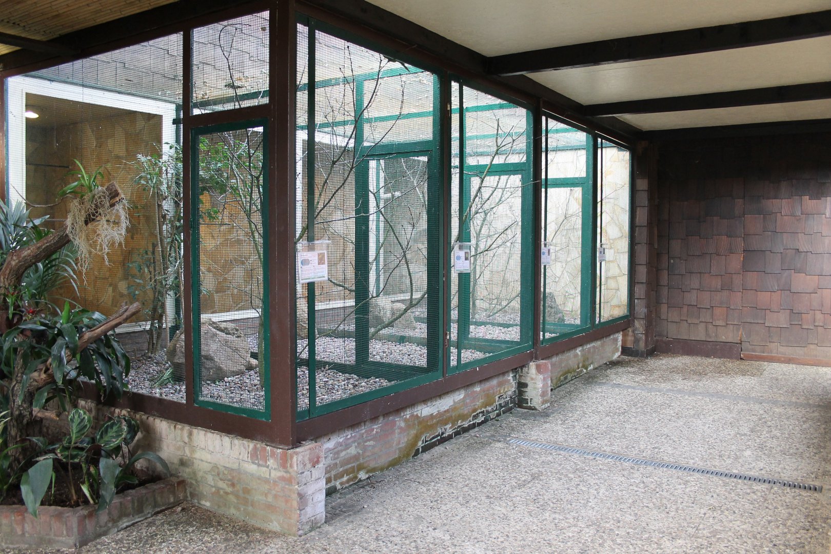 Aviaries in "Pukara" (24/3-19)